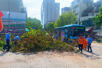 Sở GTVT Hà Nội: huy động tổng lực dọn dẹp đường phố sau bão số 3