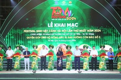 Hà Nội khai mạc Festival Sinh vật cảnh, quyên góp ủng hộ đồng bào vùng lũ