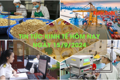 Tin tức kinh tế ngày 15/9: Việt Nam có tháng thứ 5 liên tiếp tăng trưởng thương mại