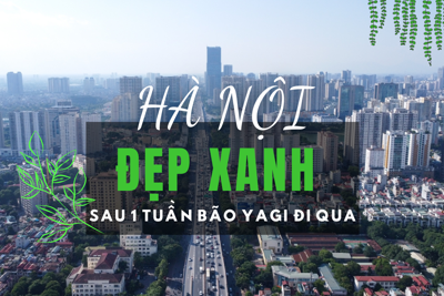 Hà Nội đẹp xanh sau 1 tuần bão Yagi đi qua