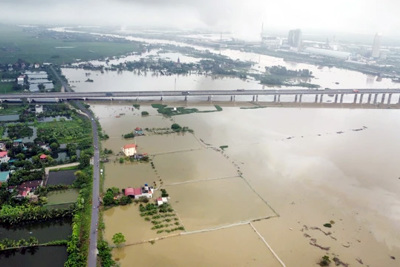 Người Thành Nam trong mắt bão