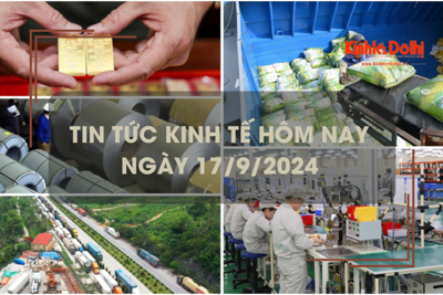 Tin tức kinh tế ngày 17/9: thêm tin vui cho gạo Việt Nam