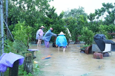 Quận Tây Hồ: tập trung hỗ trợ nông dân bị ảnh hưởng do bão số 3