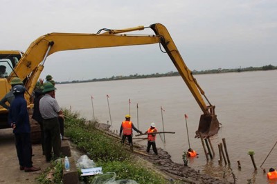 Thái Bình: xử lý sự cố sạt lở kè đê bối cửa sông tả Hồng Hà