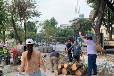 Quận Hai Bà Trưng: người dân cảm nhận cảnh quan xanh, sạch trở lại sau bão