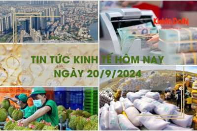 Tin tức kinh tế ngày 20/9: xuất khẩu gạo vượt 4 tỷ USD