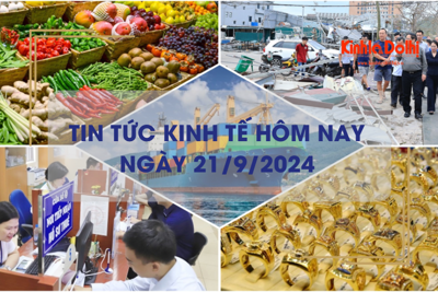 Tin tức kinh tế ngày 21/9: cước vận tải biển giảm sâu