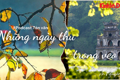 Podcast Tản văn: Những ngày Thu trong veo