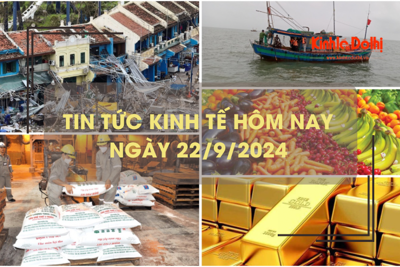 Tin tức kinh tế ngày 22/9: xuất khẩu nông sản sớm cán đích 55 tỷ USD