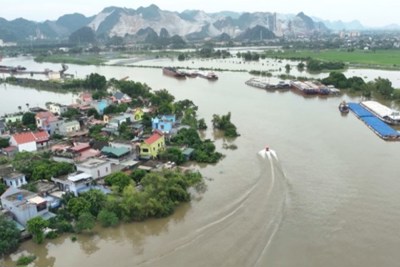 Hà Nam phát tin báo động 3 trên sông Đáy