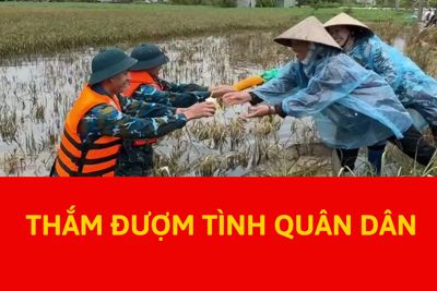 Thắm đượm tình quân dân