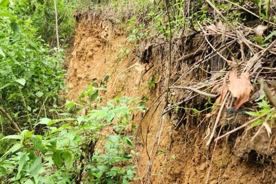 Quảng Ngãi: di dời 27 học sinh mầm non để tránh sạt lở núi