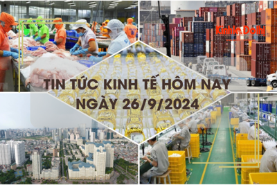 Tin tức kinh tế ngày 26/9: ADB giữ nguyên dự báo tăng trưởng của Việt Nam