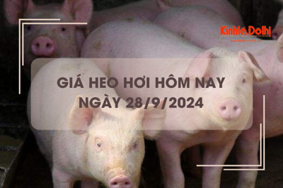 Giá heo hơi hôm nay 28/9: điều chỉnh trái chiều 1.000 - 2.000 đồng/kg