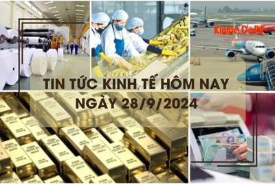 Tin tức kinh tế ngày 28/9: thu ngân sách nhà nước đạt khoảng 85% dự toán