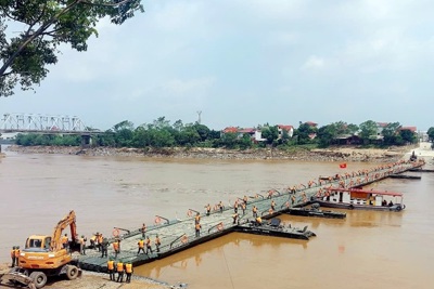 Phú Thọ: cầu phao Phong Châu tạm dừng hoạt động do nước sông Hồng lên cao