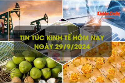 Tin tức kinh tế ngày 29/9: giá dầu sẽ tiếp tục giảm cho đến năm 2025