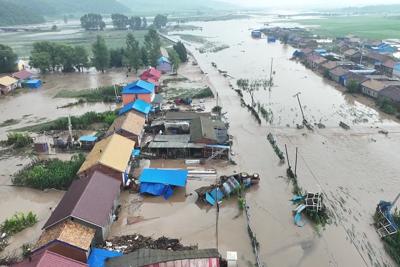 Trung Quốc lâm nguy vì vựa lúa chết