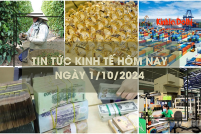 Tin tức kinh tế ngày 1/10: xuất khẩu hồ tiêu đạt mức kỷ lục