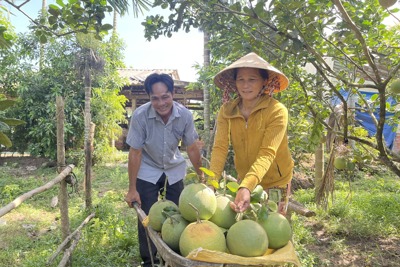 Thực hiện đồng bộ nhiều giải pháp để giảm nghèo bền vững