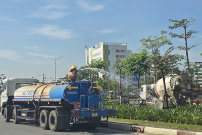 Hải Phòng: tiếp tục chăm sóc cây xanh sau khi trồng, dựng lại sau bão