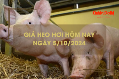 Giá heo hơi hôm nay 5/10: cao nhất 69.000 đồng /kg