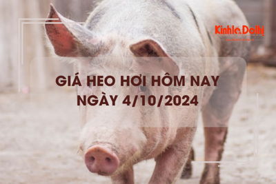 Giá heo hơi hôm nay 4/10: miền Nam tăng giảm trái chiều