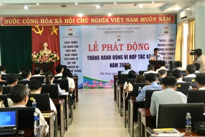 Đắk Nông: kinh tế tập thể phát triển chưa tương xứng với tiềm năng