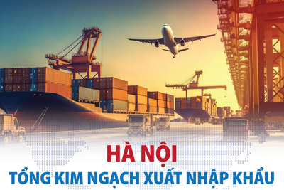 Xuất nhập khẩu của Hà Nội phục hồi ấn tượng