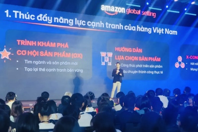 Thúc đẩy xuất khẩu thương mại điện tử Việt Nam cất cánh 