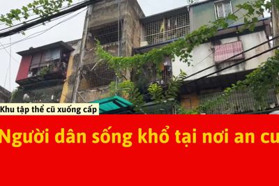 Người dân sống khổ trong khu tập thể xuống cấp