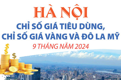 Chỉ số giá tiêu dùng, vàng, đô la Mỹ tăng trong 9 tháng năm 2024