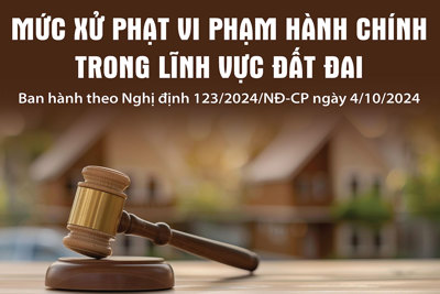 Mức xử phạt vi phạm hành chính trong lĩnh vực đất đai