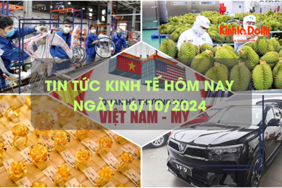 Tin tức kinh tế ngày 16/10: tăng trưởng GDP năm 2024 có thể đạt 7%