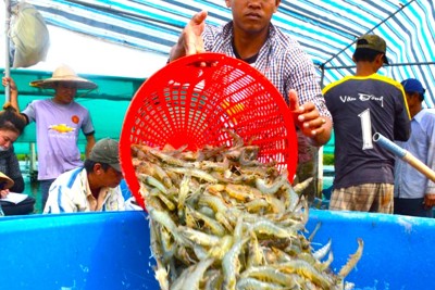 Chính quyền quyết liệt vào cuộc xử lý vi phạm, bảo vệ nguồn lợi thuỷ sản