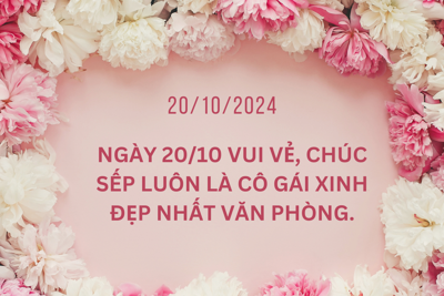 Lời chúc mừng Ngày Phụ nữ Việt Nam  20/10 tặng sếp, đồng nghiệp, nhân viên nữ