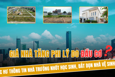 Nguyên nhân hàng loạt địa phương phải tạm dừng thi sát hạch, cấp bằng lái xe