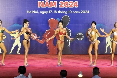 Khai mạc Giải Thể hình - Fitness Hà Nội mở rộng năm 2024