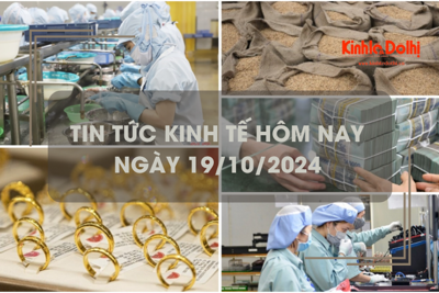 Tin tức kinh tế ngày 19/10: giá gạo toàn cầu dự báo giảm trong năm 2025