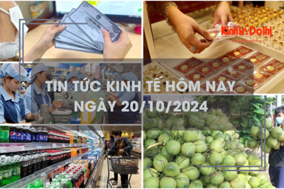 Tin tức kinh tế ngày 20/10: xuất khẩu dừa tươi dự báo sẽ tăng mạnh