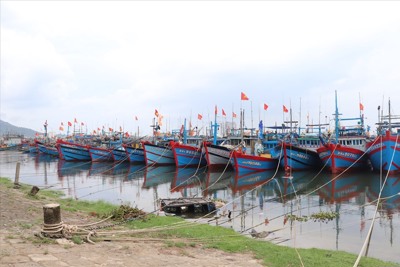 Biển Đông sắp đón bão Usagi mạnh cấp 13, Quảng Ninh-Bình Định lo ứng phó