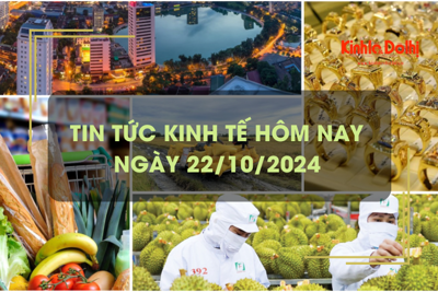 Tin tức kinh tế ngày 22/10: kinh tế Hà Nội tăng trưởng 6,12% trong 9 tháng