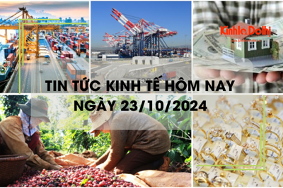 Tin tức kinh tế ngày 23/10: xuất khẩu cà phê lần đầu tiên vượt 5 tỷ USD