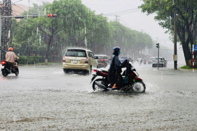 Bão Trà Mi vào Biển Đông, Quảng Nam chỉ đạo khẩn