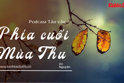 Podcast Tản văn: Phía cuối mùa thu