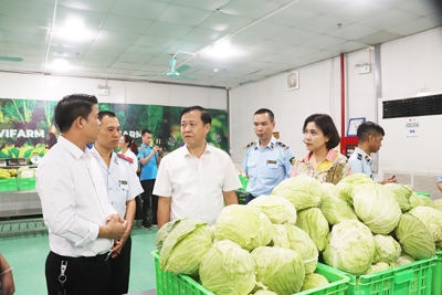 Dưa, cà muối bảo quản không an toàn: nguy cơ gây ngộ độc botulinum?