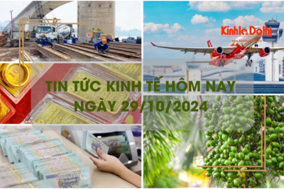 Tin tức kinh tế ngày 29/10: giá máy bay Tết 2025 tăng 8 - 10%