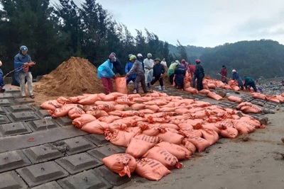 Hà Tĩnh: ứng phó với sự cố mất an toàn các tuyến đê ven biển