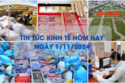 Tin tức kinh tế ngày 1/11: gạo Việt Nam chiếm lĩnh thị trường Philippines  