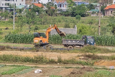 Quảng Yên sẽ không để tái diễn tình trạng xúc đào trộm đất 